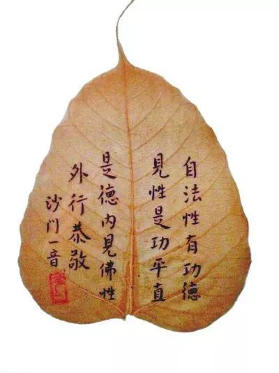 叶脉，用生命的另一种姿态滋长与绽放，婉转清扬、古拙雅逸