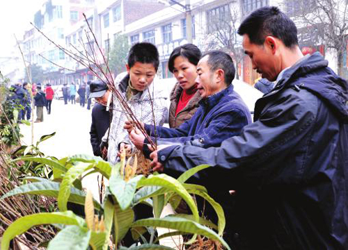 适合农村赚钱的门路,适合农村致富的门道