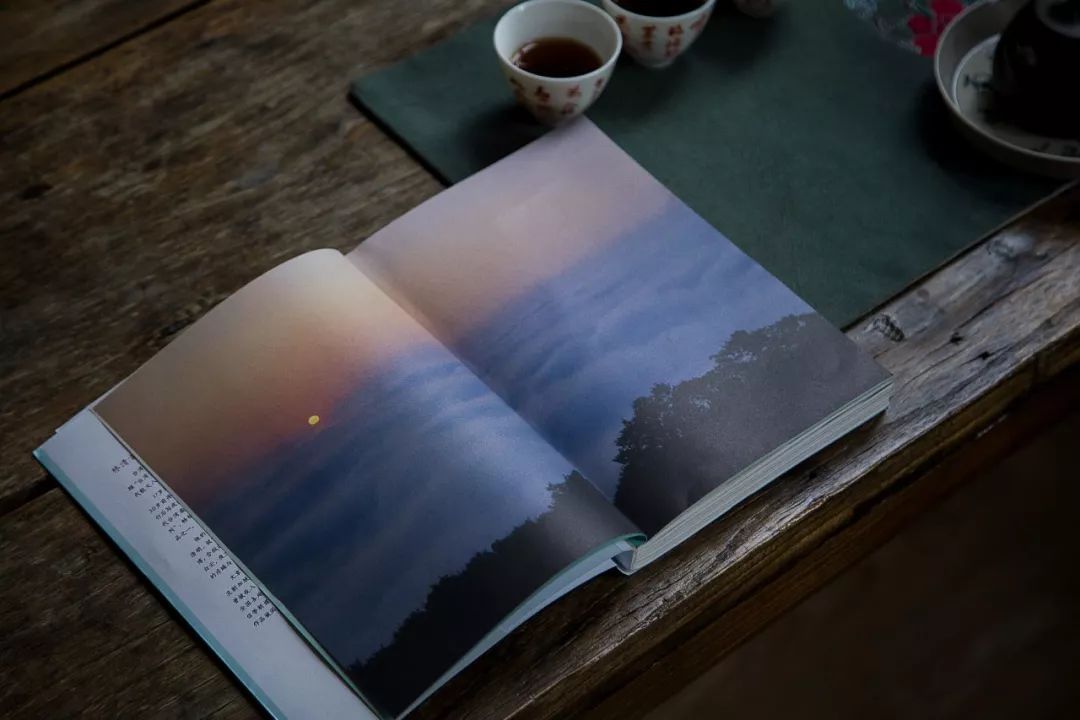 什么茶最好喝又润肺,什么茶最好喝又营养价值高