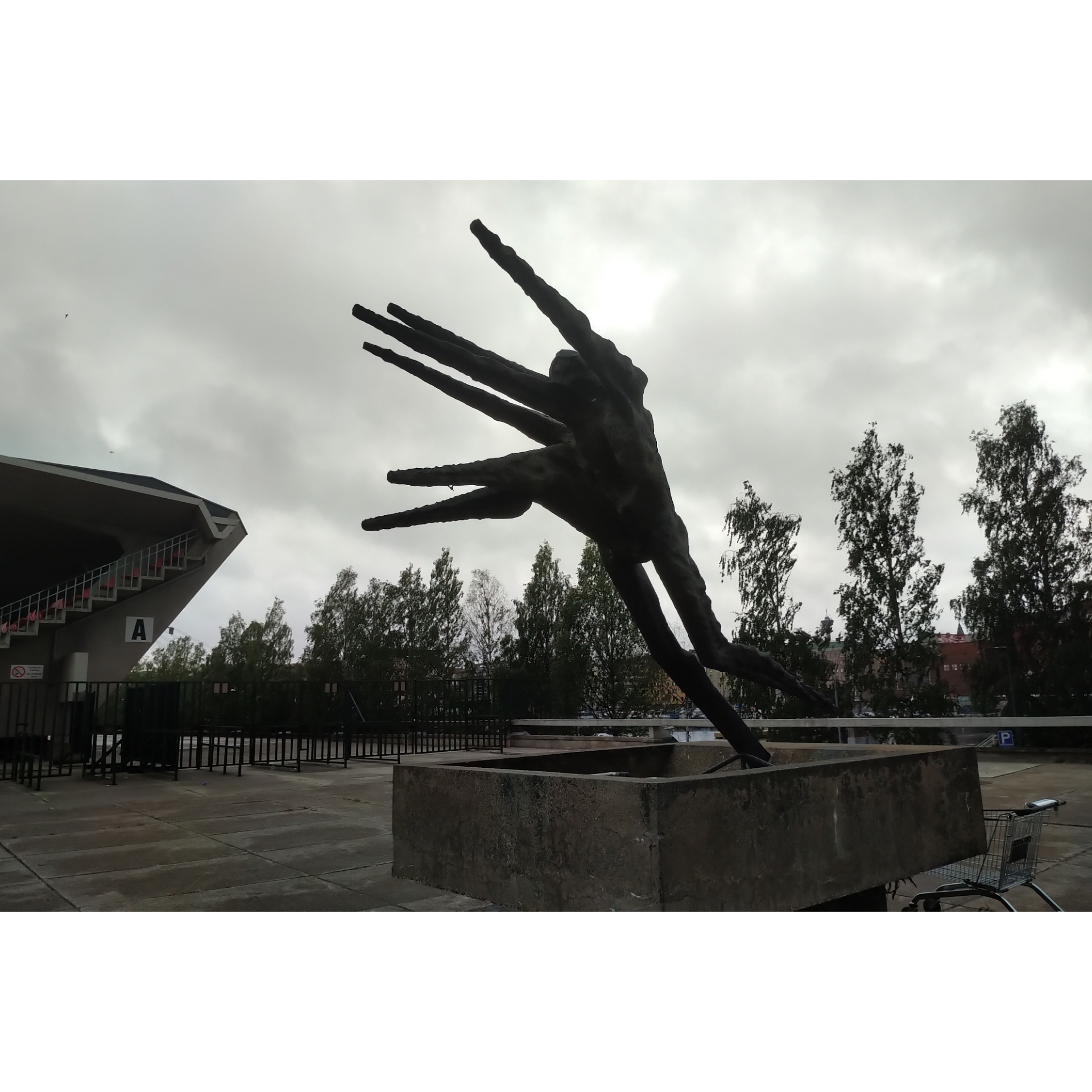 2020欧洲杯赛芬兰足球队,芬兰足球进世界杯了吗