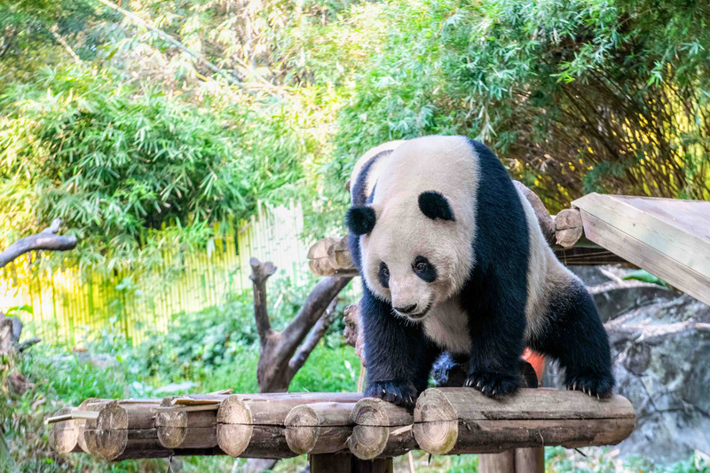 寒假亲子游推荐广东,广东自驾亲子游十大排名