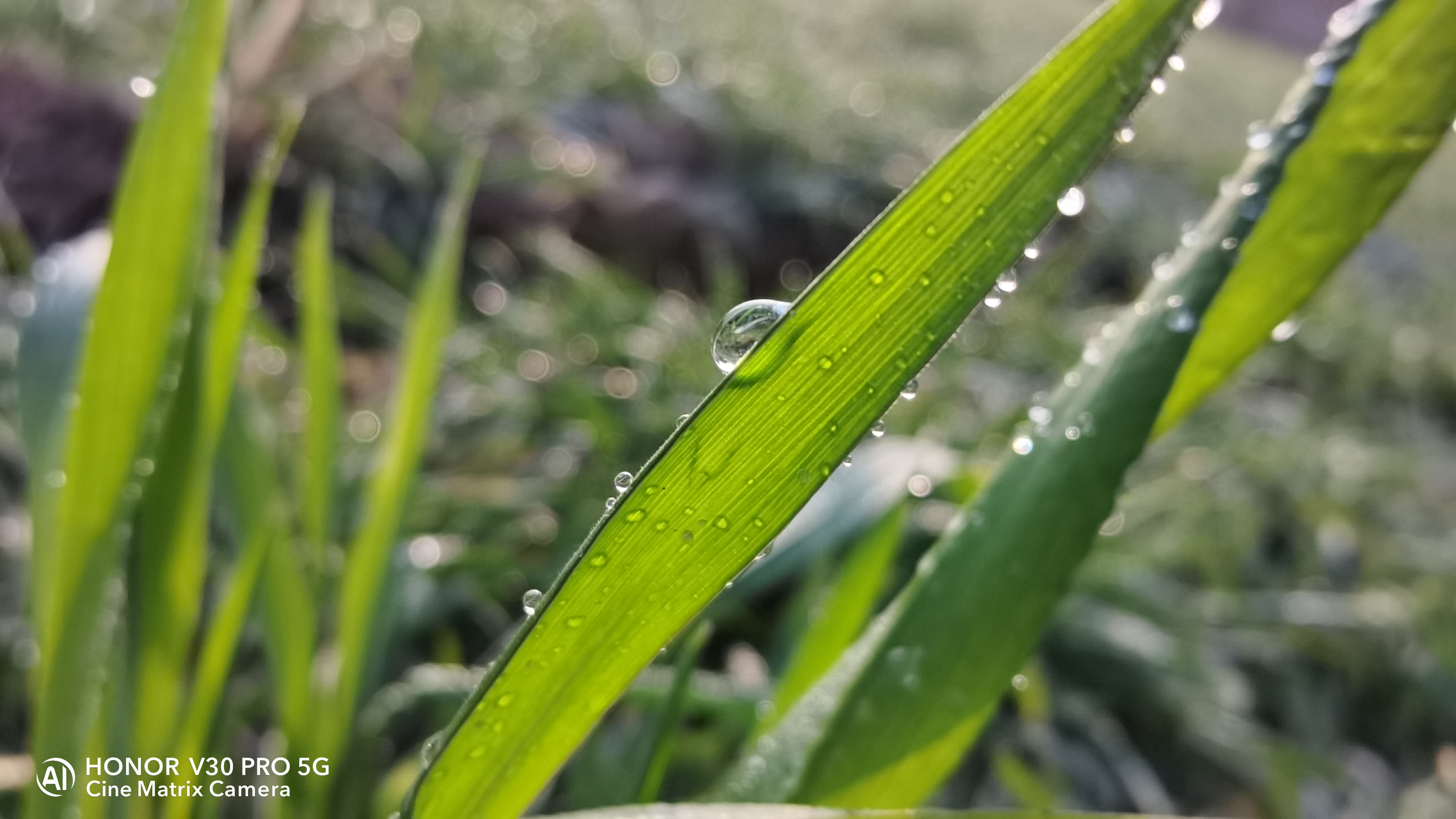 光荣v30pro拍照现在算落后吗,光荣v30pro和红米k30s至尊版对比
