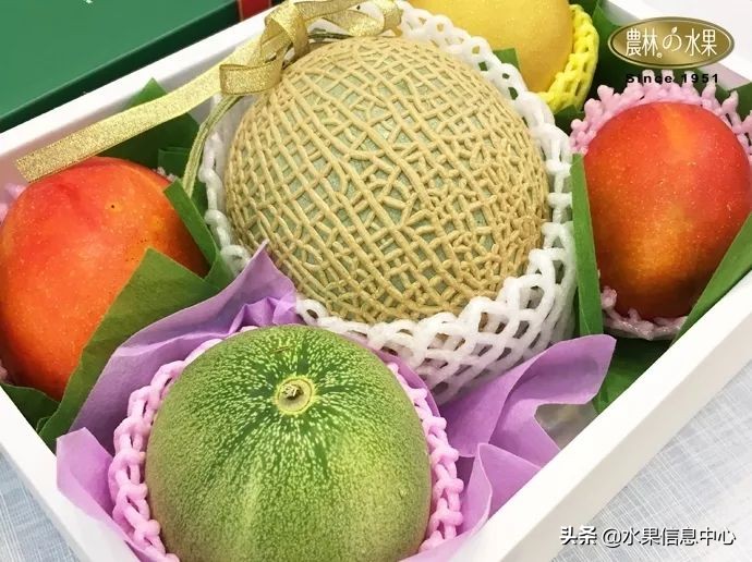 端午水果礼盒搭配在60元左右,端午水果礼盒搭配方案简单