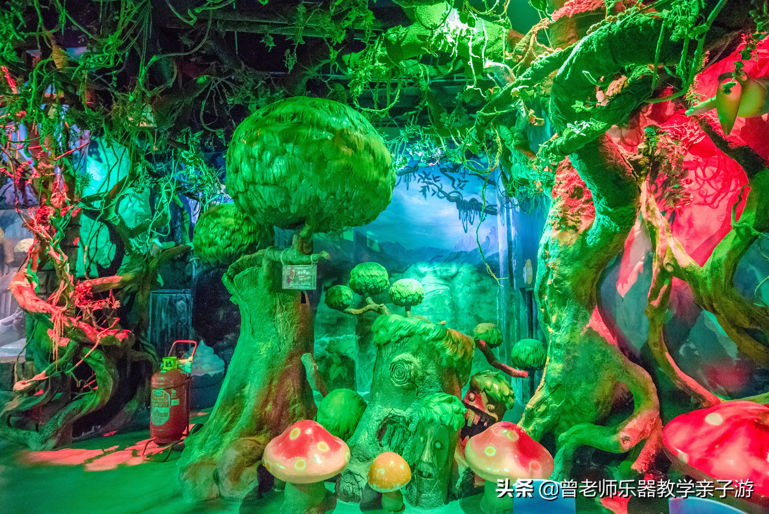 西安太奥海洋馆,西安极地海洋世界海豚表演