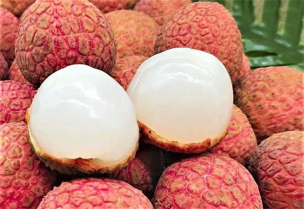 杨贵妃吃的荔枝从什么地方来,杨贵妃吃的荔枝产自哪里