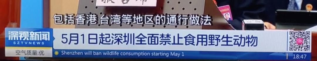 中国禁止食猫狗的城市,对深圳立法禁食猫狗的官方评论