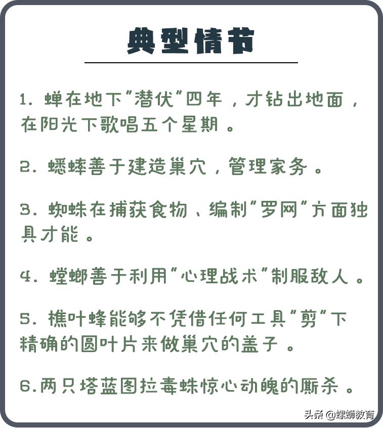 昆虫记速看,昆虫记必考内容瞬间读懂整本书