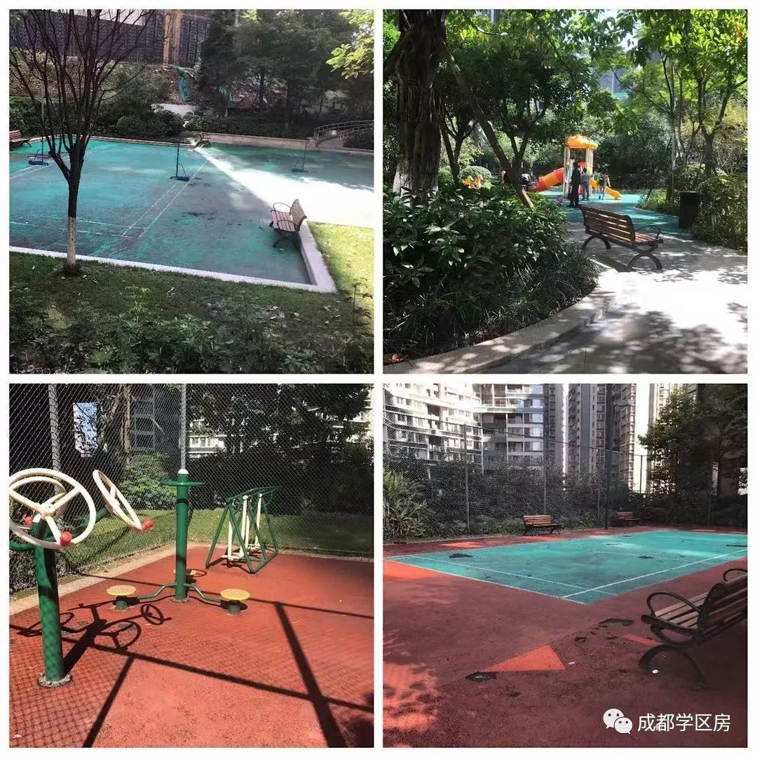 天府新区第五小学待遇,天府新区第五小学对口中学