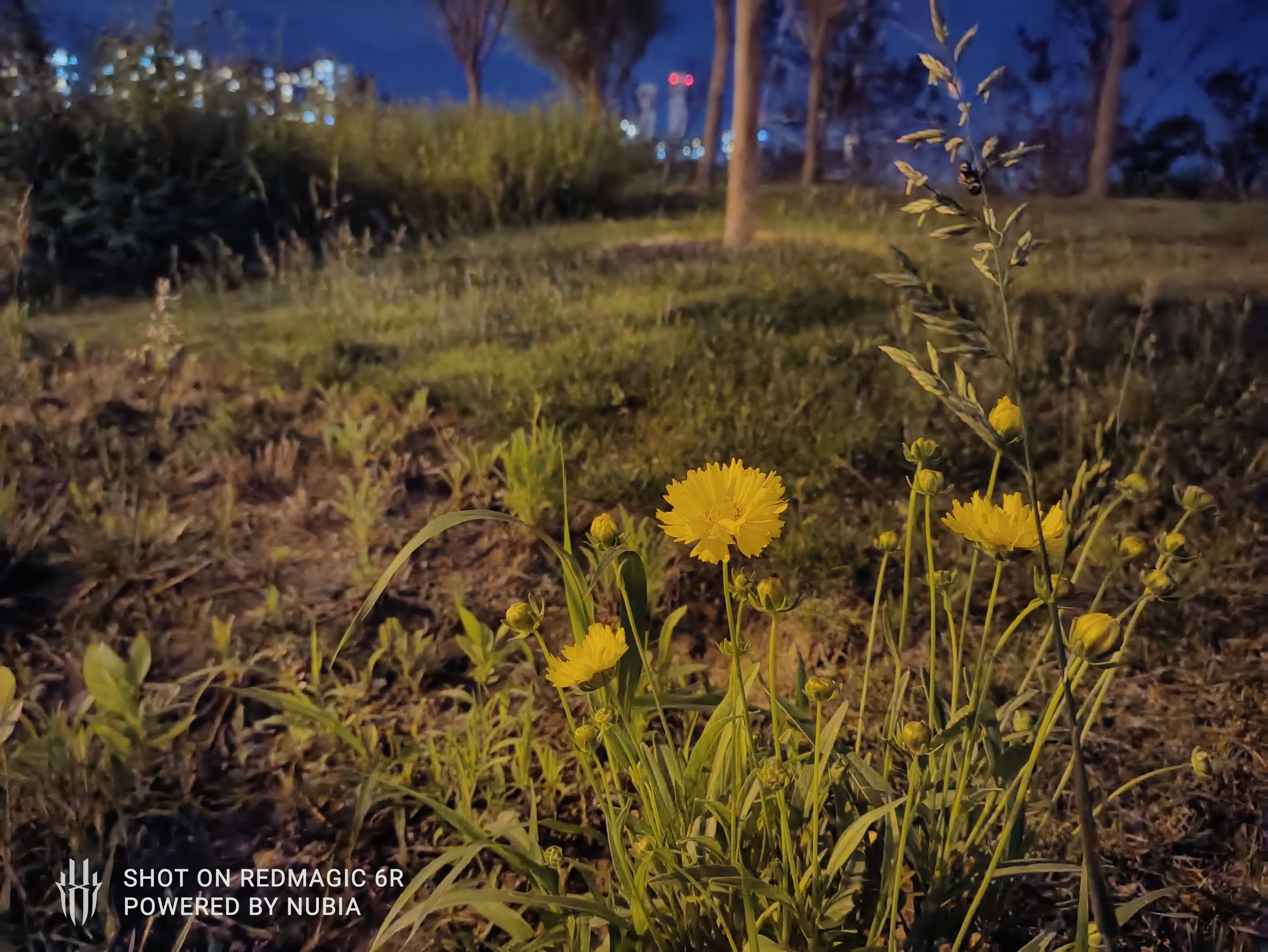 红魔6r暴力测评,红魔6r深度测评