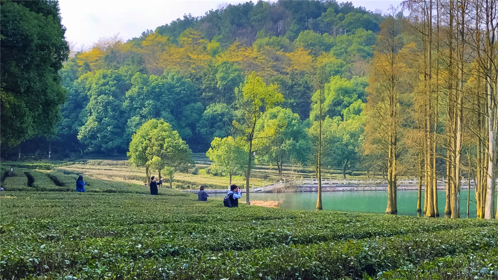 武汉旅行不止武大樱花，江汉平原第一峰堪称世外桃源宝藏旅行地