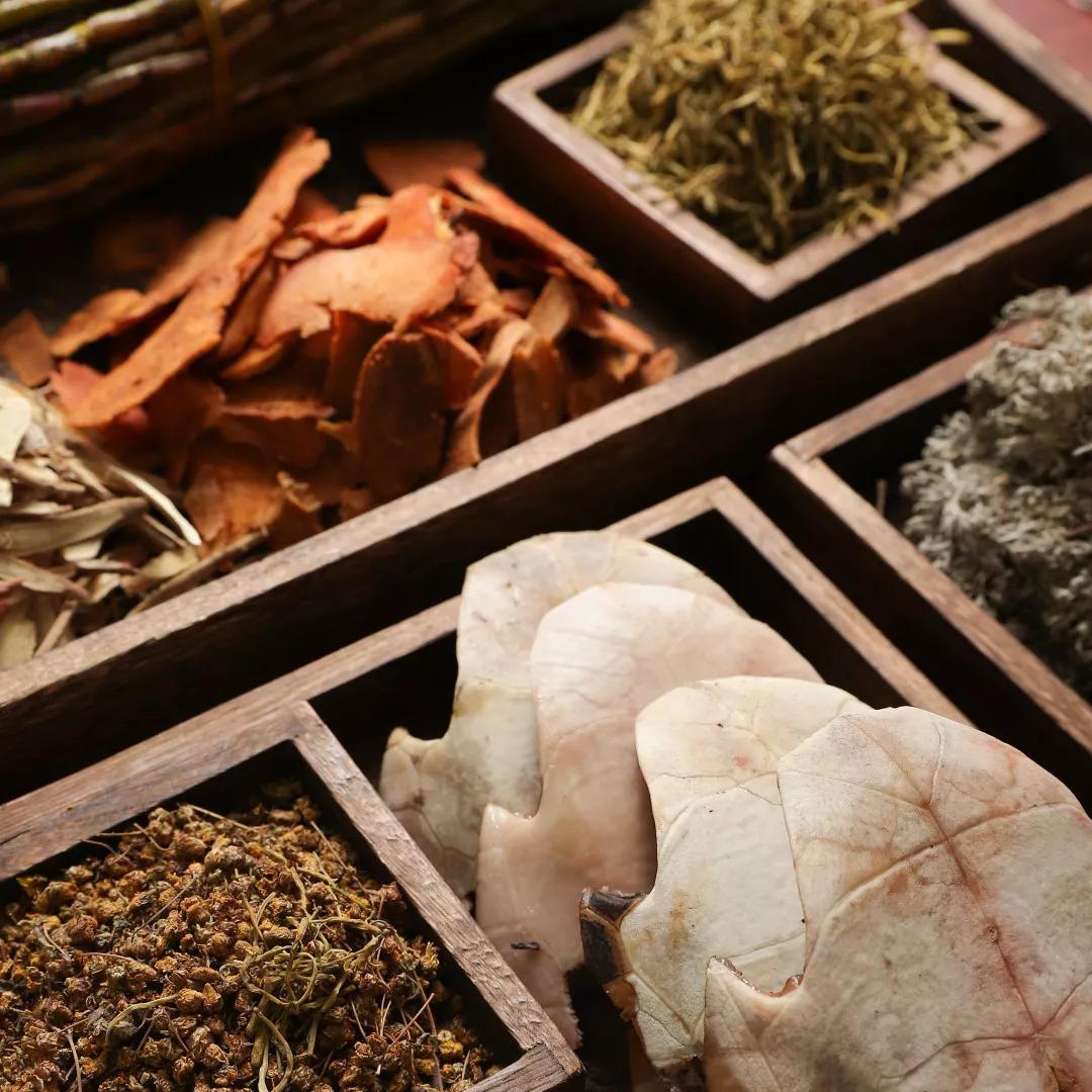 龟苓膏真假对比,真龟壳的龟苓膏