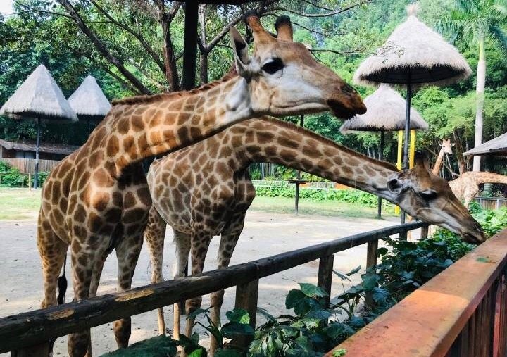 南国7日自然探索、体育运动研学营