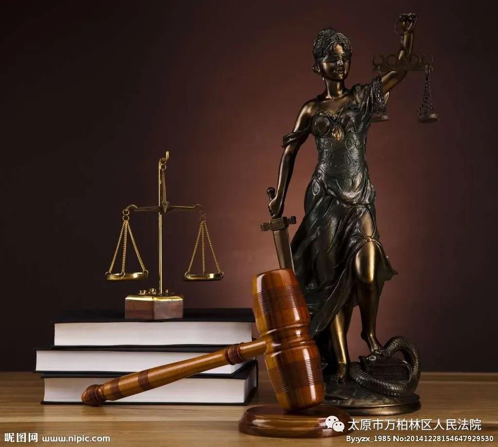 南方有佳木（我们这一代）第五期