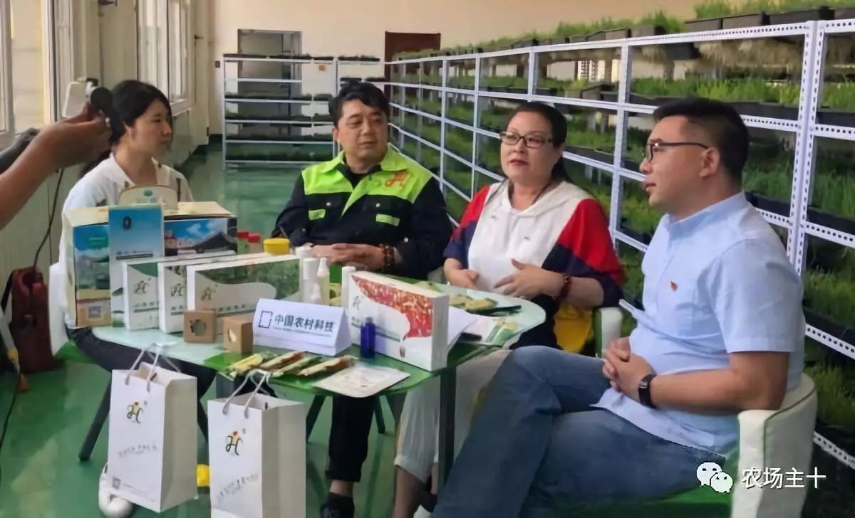 纸上种菜怎么赚钱,纸上种菜手把手教你