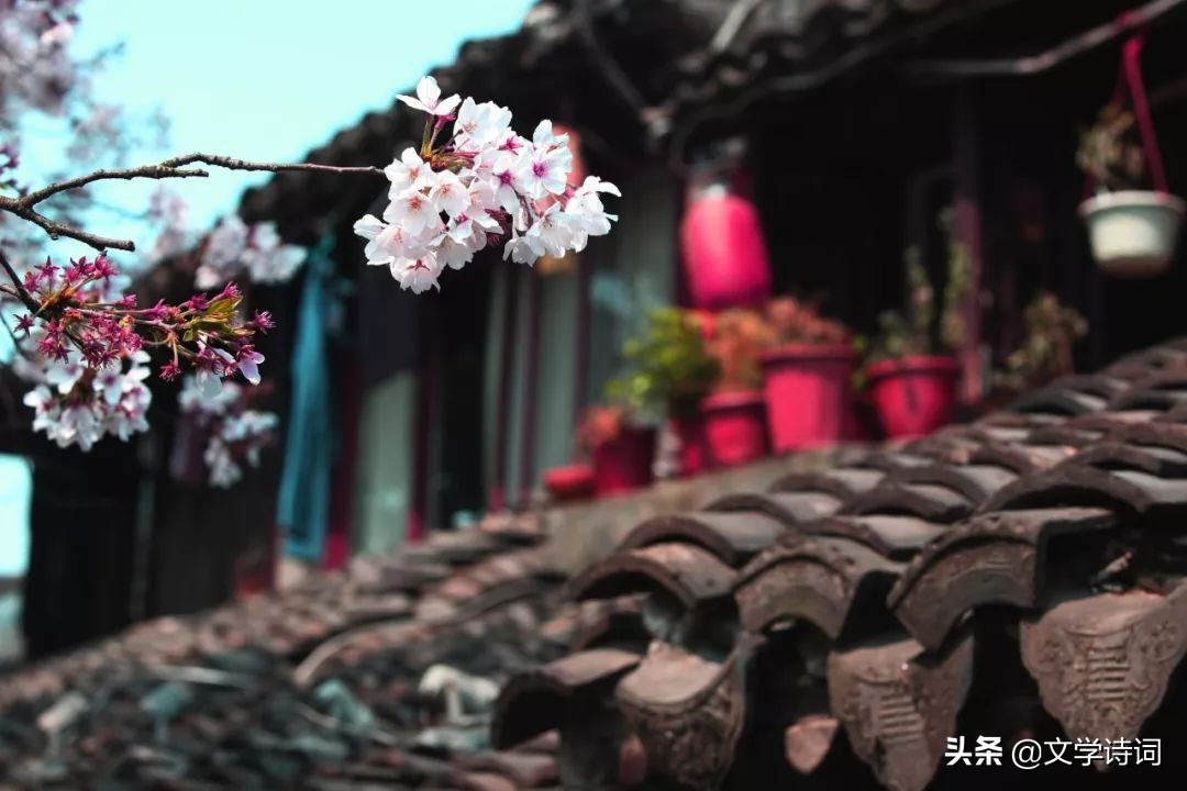 感慨时光流逝的诗句古诗大全,古诗十首唯美伤感诗句