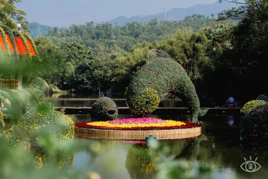 深圳吃喝玩乐两日游推荐,深圳周边游吃喝一日游推荐