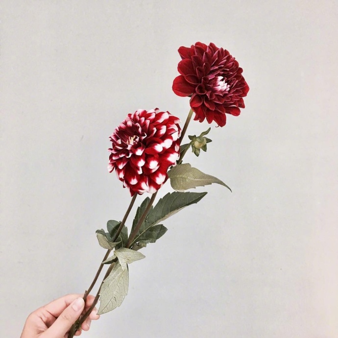 心灵鸡汤短句一句话经典语录,心灵鸡汤经典语录干净短句