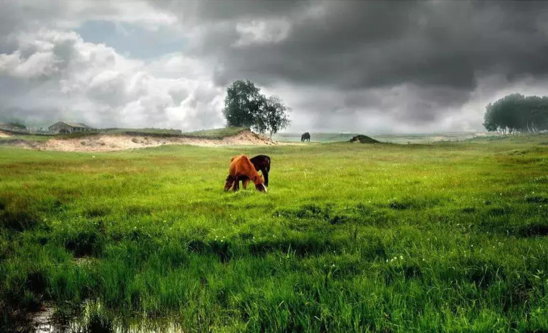 河北省面积相当于几个天津市,河北省最大面积十县排名