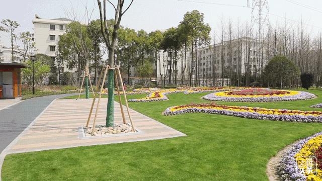 上海最大的绿地在哪里,上海人家万科广场