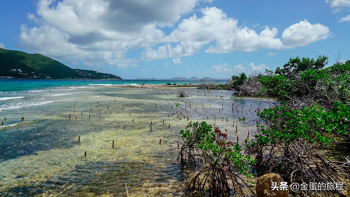 加勒比海上的处女群岛，这是童话海盗“金银岛”故事发源地