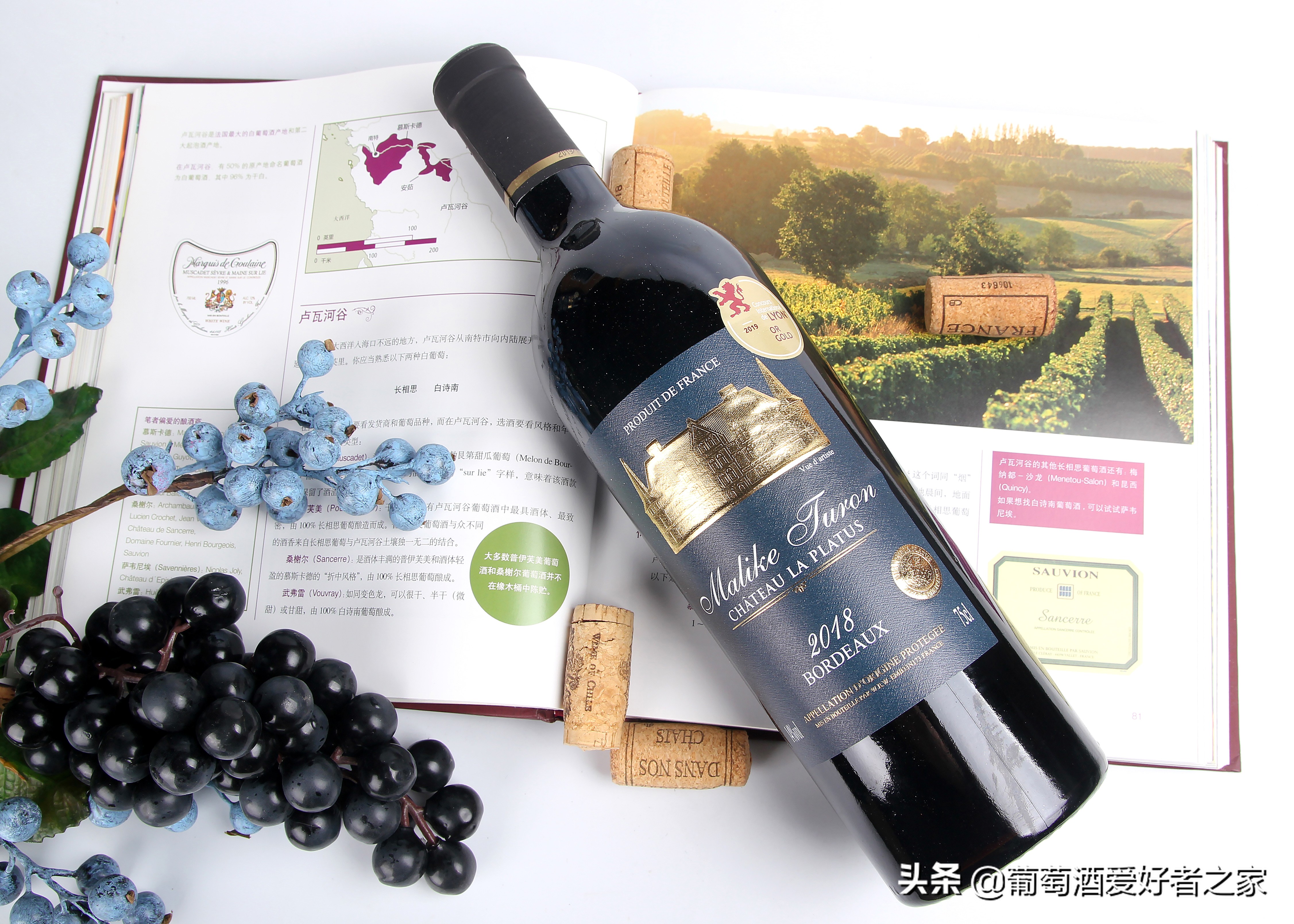 2017年拉菲传奇波尔多葡萄红酒700ml,拉菲传奇波尔多葡萄品种