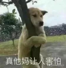 正确辟谷减肥方法看看专家怎么说,辟谷减肥真的不可取吗