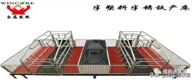 猪场猪栏,养猪栏的优缺点
