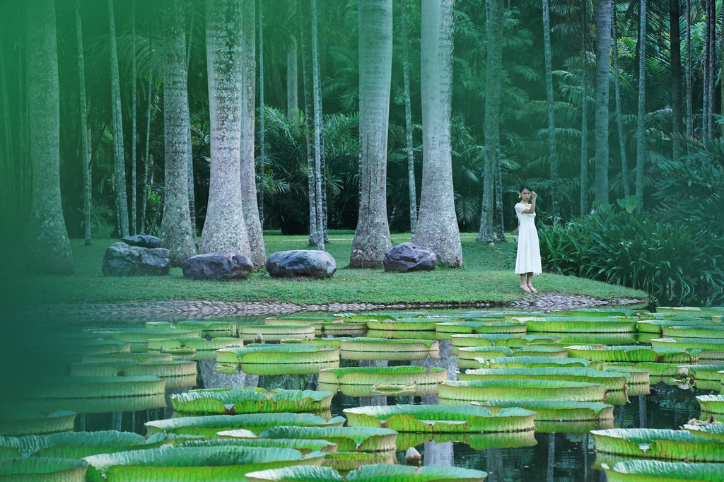 云南大理丽江西双版纳十日游攻略,云南西双版纳深度攻略