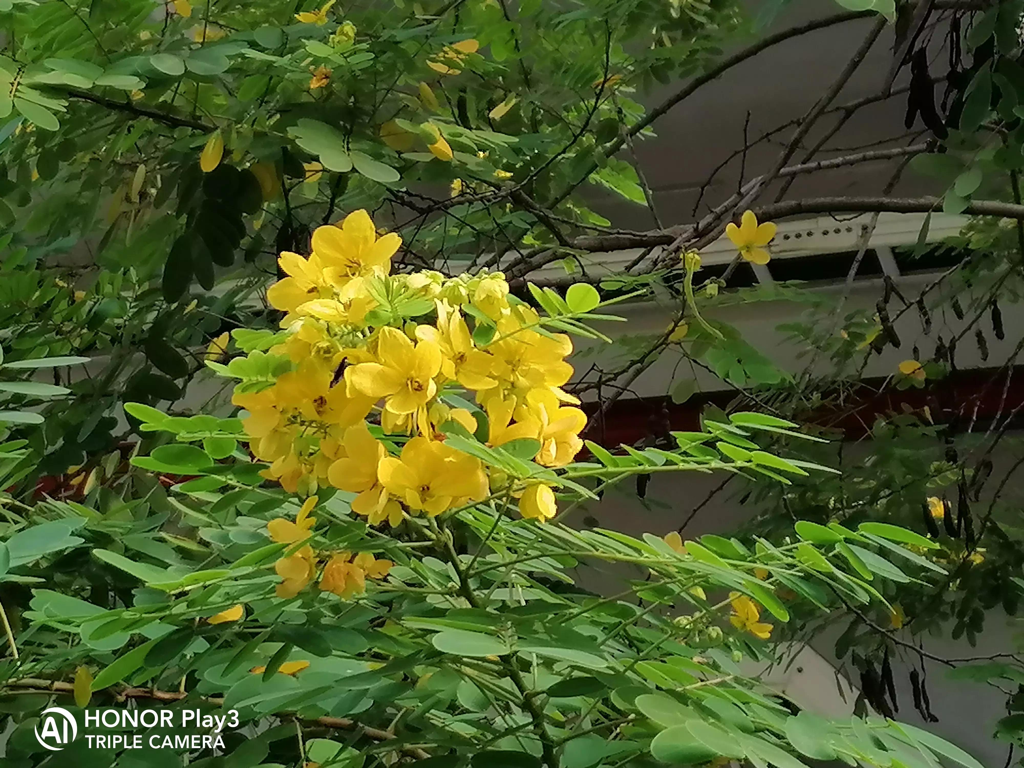 信用卡为什么很少申请强制执行,信用卡被法院执行带来的后果