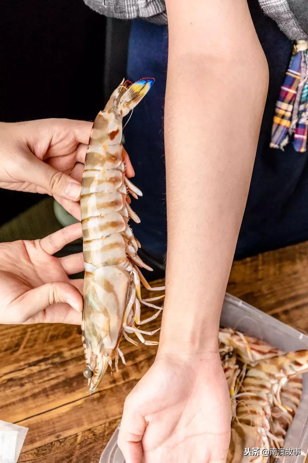 南澳岛渔民捕捞视频,南澳岛渔船捕捞