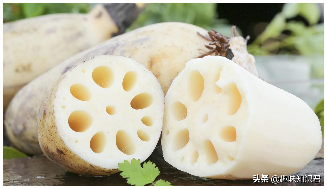 世界上真的有趣的冷知识,世界100个奇葩冷知识