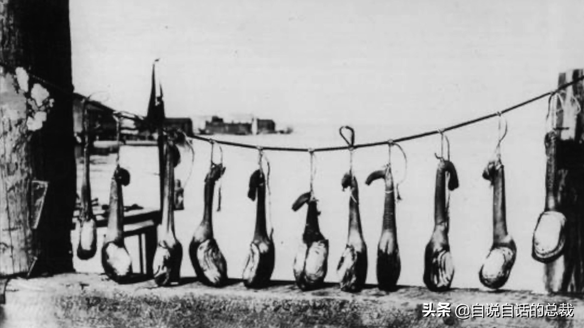 蚬蚌蛏的区别是什么,蚶子蛤蜊蚬子区别