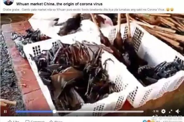 新型冠状病毒感染的肺炎疫情防控,新型冠状病毒肺炎疫情最新山东