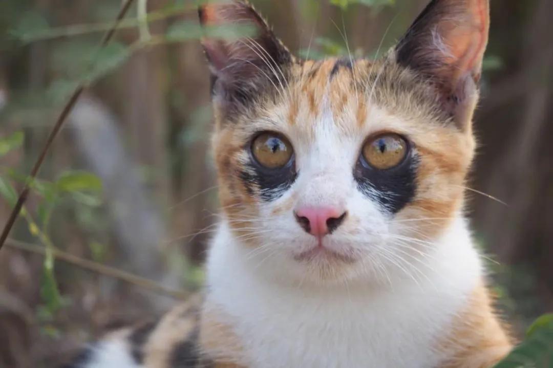 假期提示|放假熬夜冠军又要来了，黑眼圈到底怎么来的心里没点数吗？