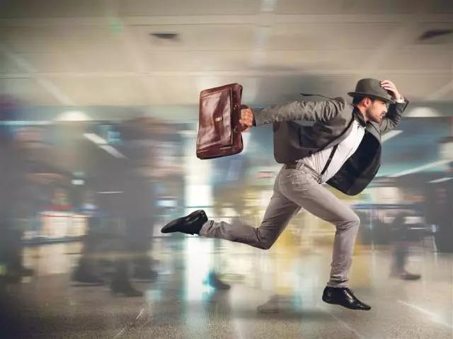 不认识的猫亲近你,不认识的猫对我叫好吗