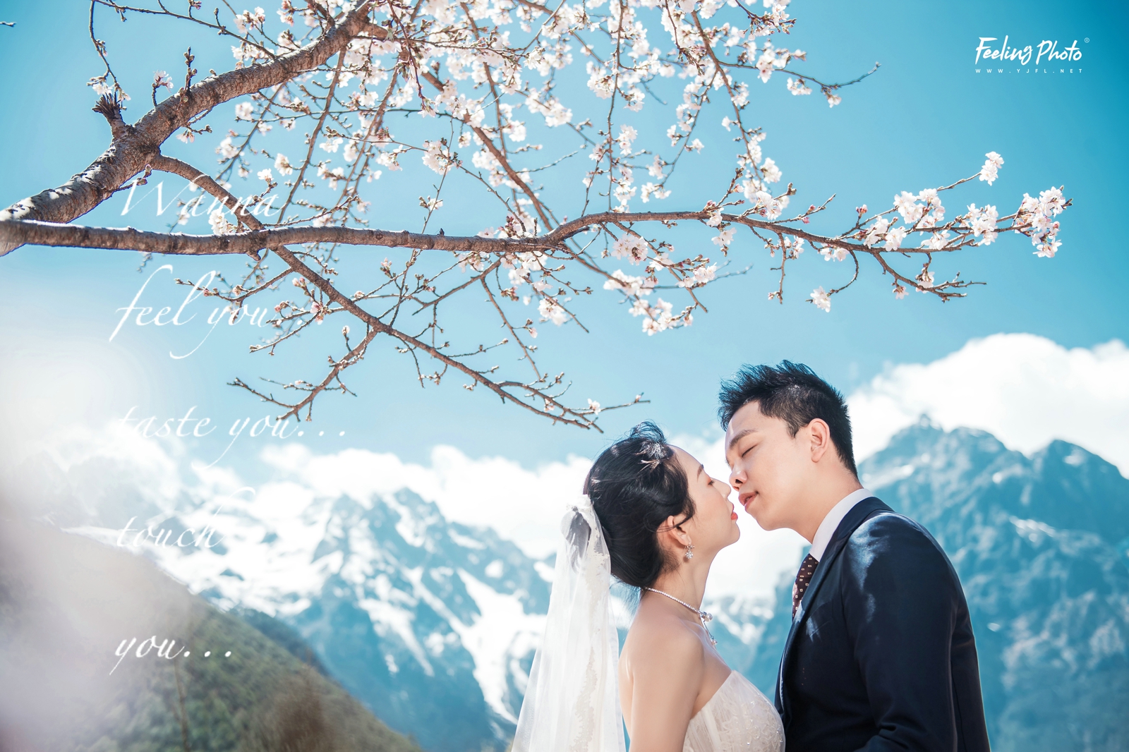 婚纱照一般选什么照片当摆台,婚纱照10张怎么挂墙上好看