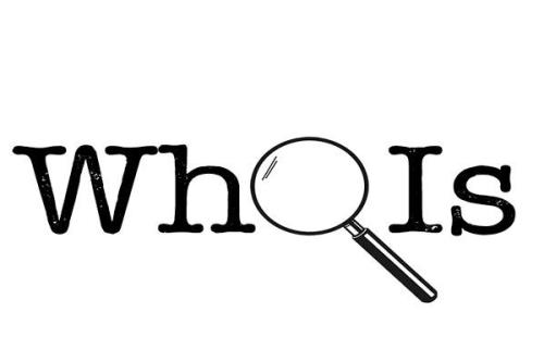 域名注册流程和费用,com域名注册情况