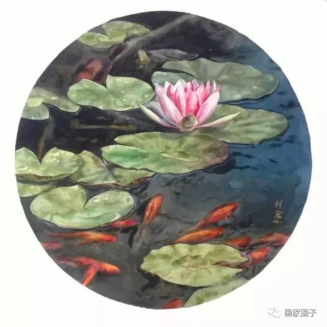 100种漂亮花卉图片,100张漂亮花图