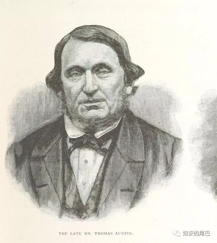 兔子对澳大利亚的生态影响,澳大利亚兔子破坏生态平衡