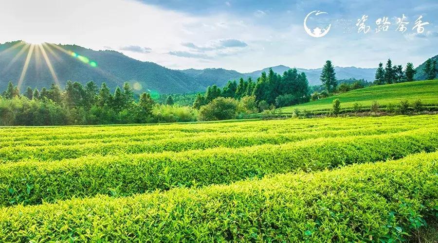 景德镇帐篷游玩,景德镇三宝太阳谷露营基地门票