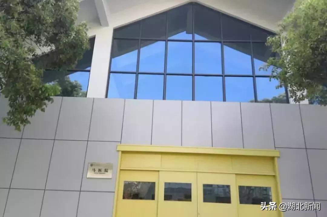 为武汉抗击疫情建设了什么医院,为抗疫情武汉建的第一个医院