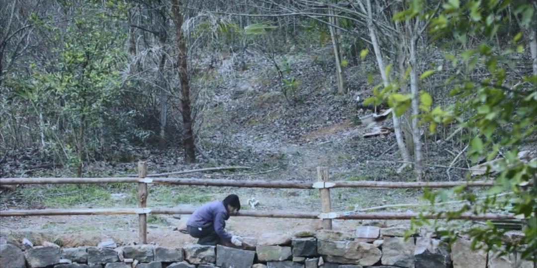 番茄锅酸甜番茄,超浓郁的番茄火锅吃一次就爱上了
