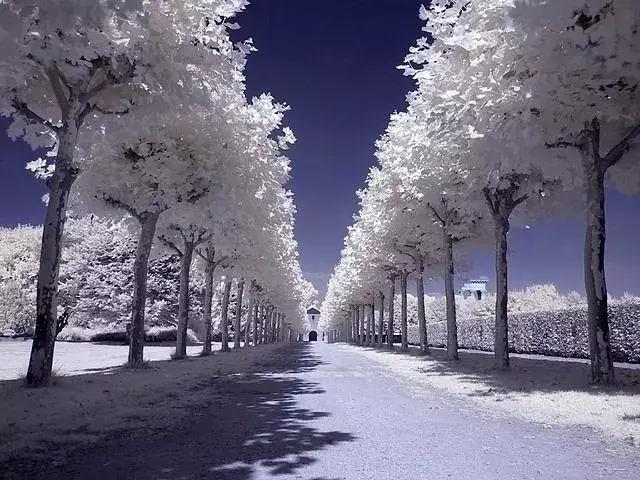 对联应掌握的90个知识点,对联知识点整顿