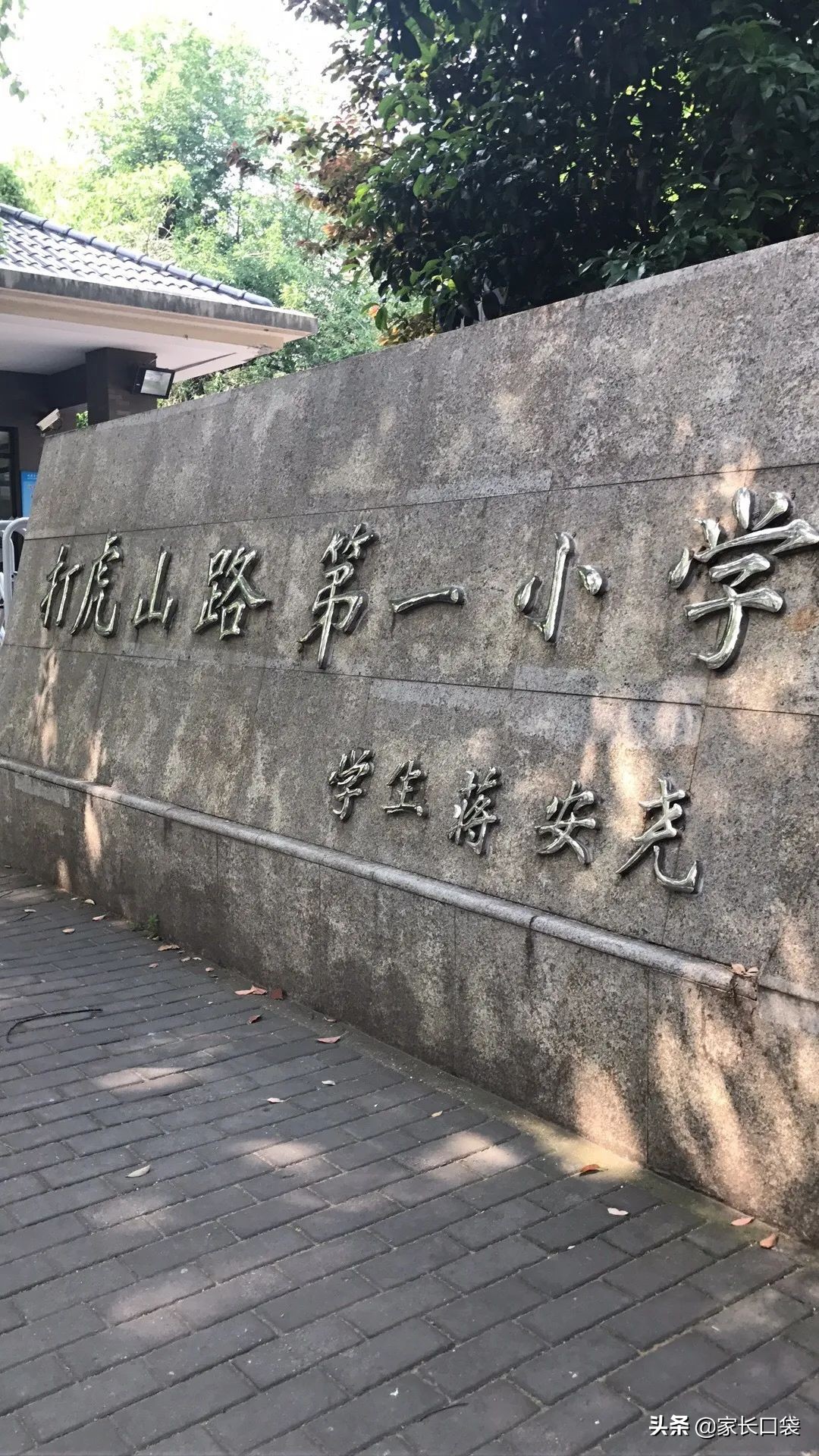 上海热门小学隐藏技：芭蕾、乒乓、潜水、书法、科技……样样有