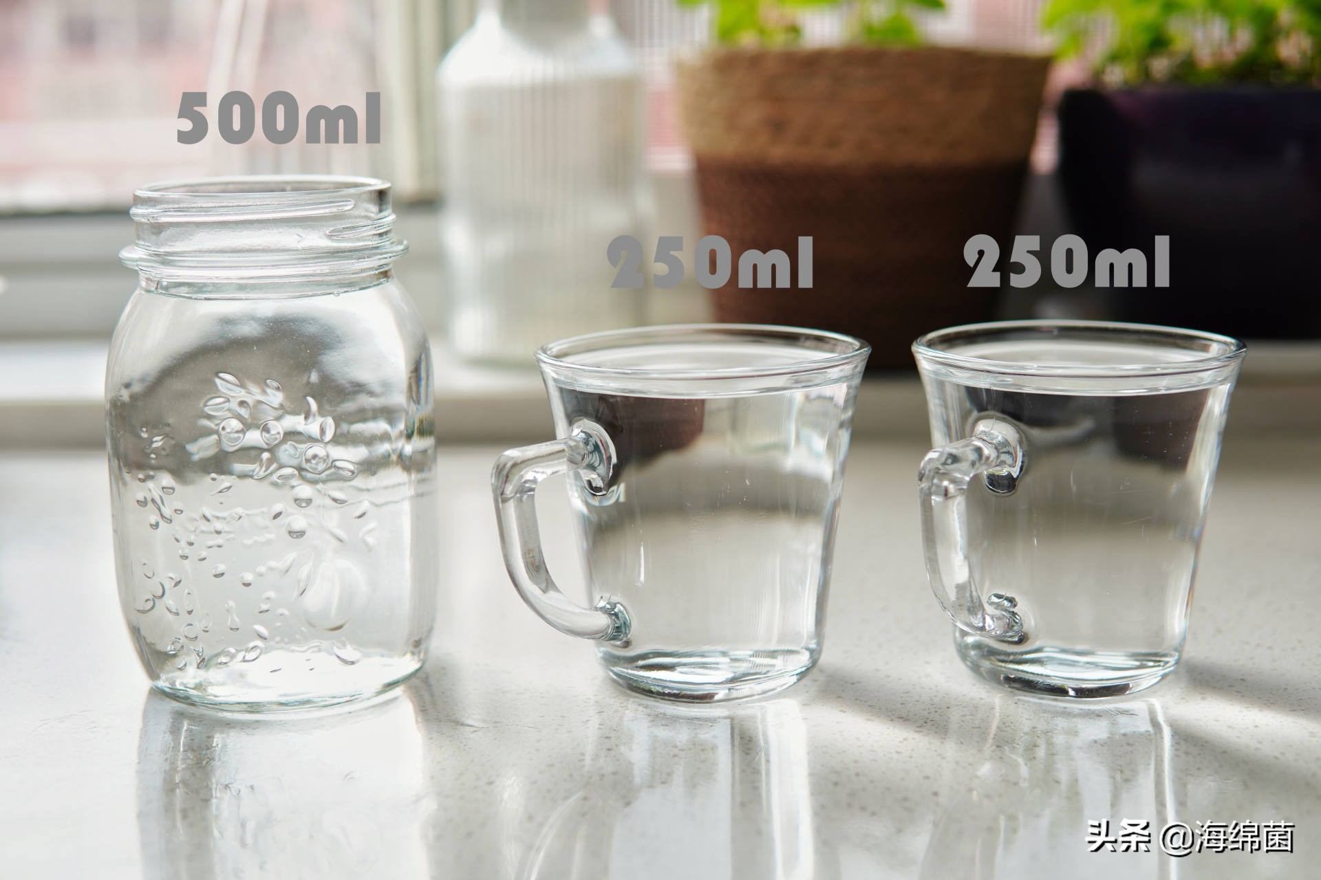 奶茶机到底是不是伪需求？热门款横评告诉你答案