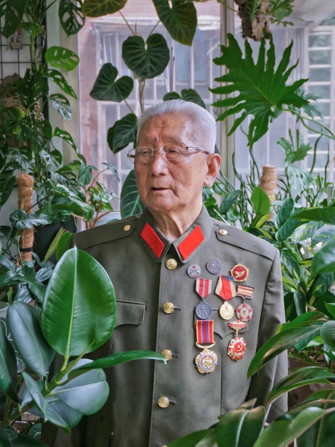 没花园怎么种花？从东北到广东，4位大神在室内种出植物园，绝美