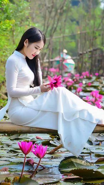 出淤泥而不染荷花之美,如果你是一朵出淤泥而不染的荷花