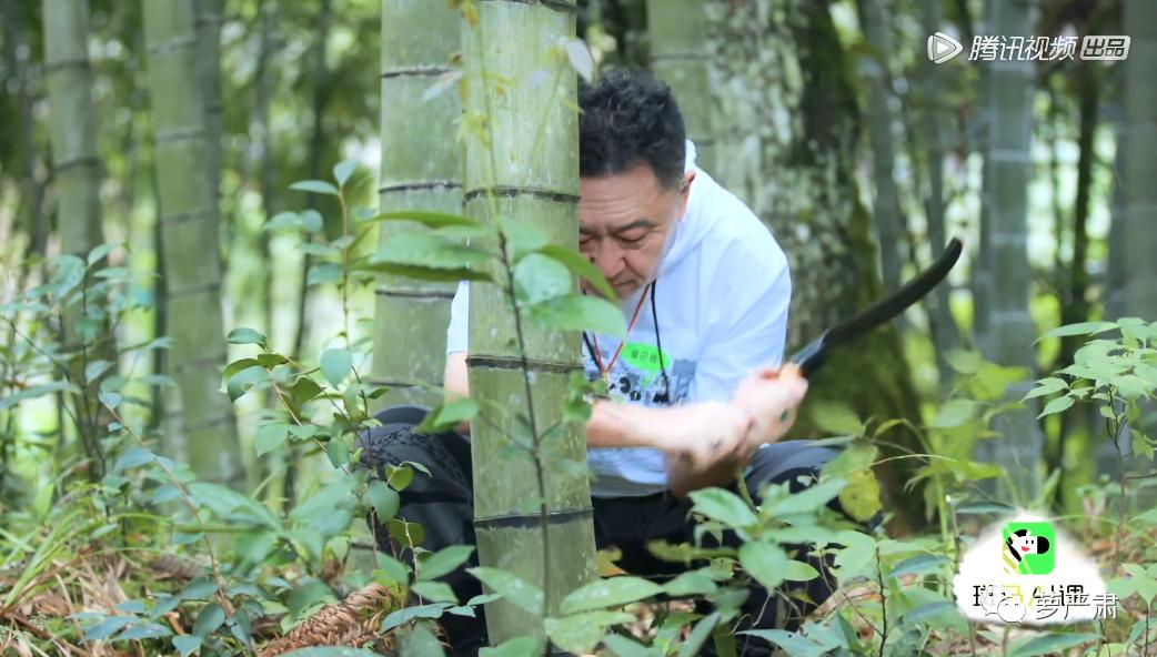 中国式婚姻男人的现状,中国好老公的典型