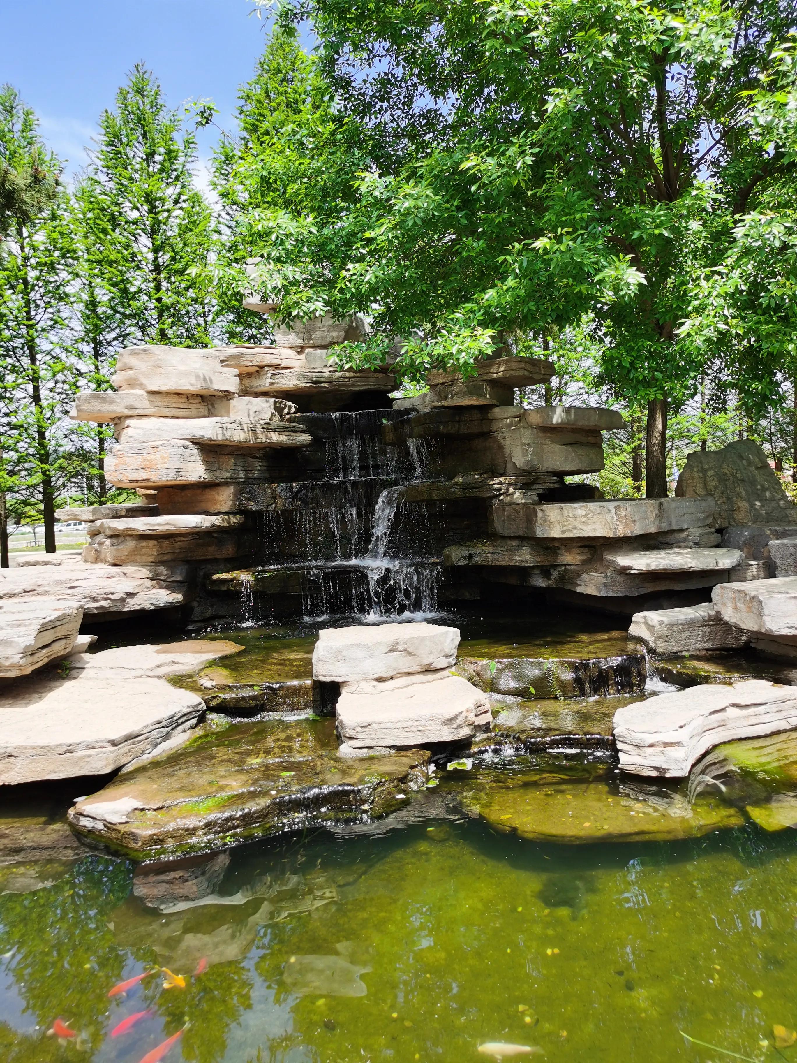 威海羊亭公园牡丹花开了吗,威海羊亭公园二期