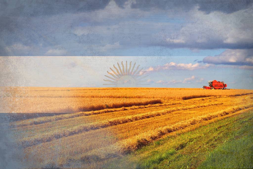 潘帕斯雄鹰和阿根廷巨鹰,潘帕斯雄鹰阿根廷史诗级反击